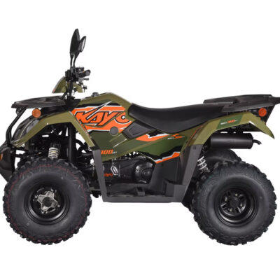 Bull 300 EFI
