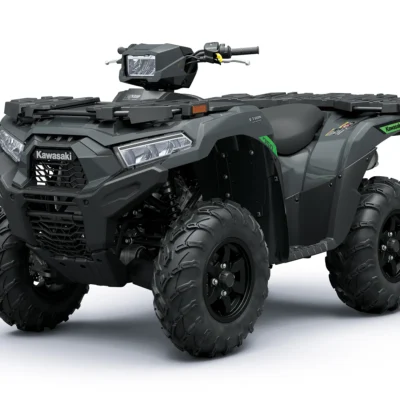 BRUTE FORCE 750 EPS